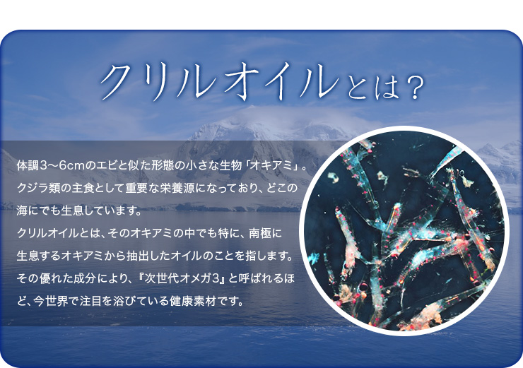 クリルオイル流（Krill Oil RYU）