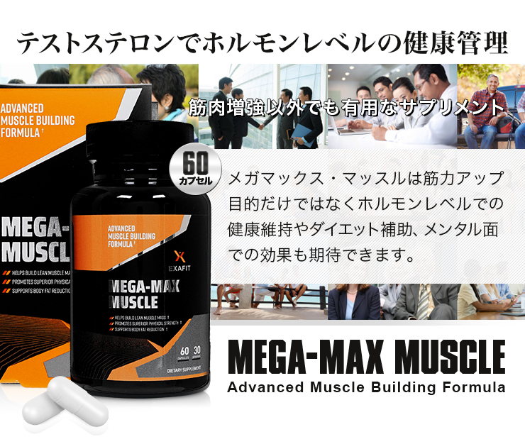 (EXAFIT)メガマックスマッスル
